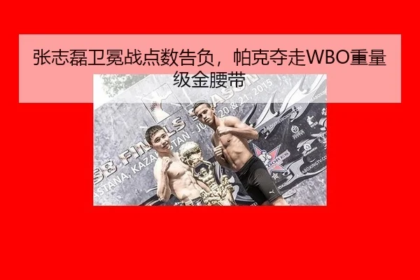 zhang-zhi-lei-wei-mian-zhan-dian-shu-gao-fu-pa-ke-duo-zou-zhong-liang-ji-jin-yao-dai-2-218.jpg