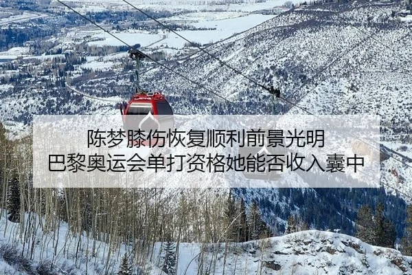 chen-meng-xi-shang-hui-fu-shun-li-qian-jing-guang-ming-ba-li-ao-yun-hui-dan-da-zi-ge-ta-neng-fou-shou-ru-nang-zhong-3-569.jpg