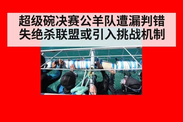 超级碗决赛公羊队遭漏判错失绝杀联盟或引入挑战机制
