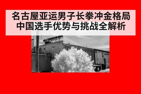 名古屋亚运男子长拳冲金格局 中国选手优势与挑战全解析